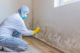 Forensic Mold Investigation in Talpa, NM